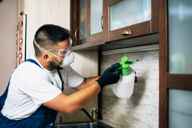 Best Wasp Removal Services  in Locust Valley, NY