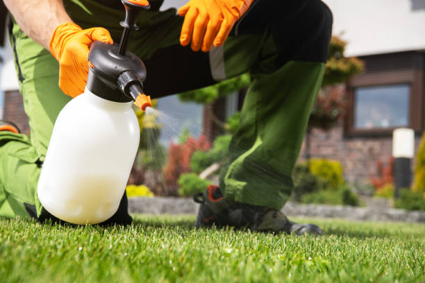 Best Local Pest Control Services  in Locust Valley, NY