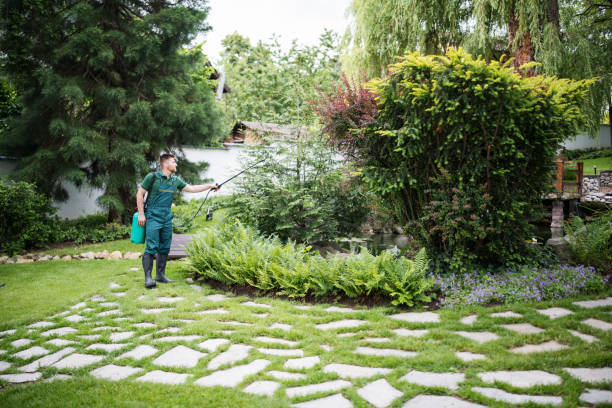 Professional Pest Control in Locust Valley, NY