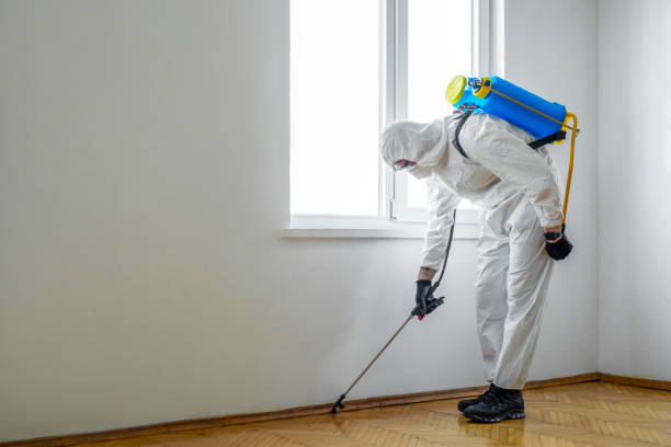 Best Pest Removal Services  in Locust Valley, NY
