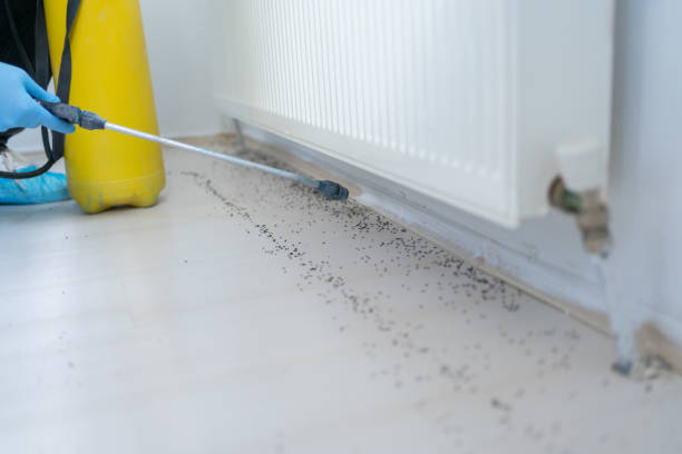 Best Pest Prevention Services  in Locust Valley, NY