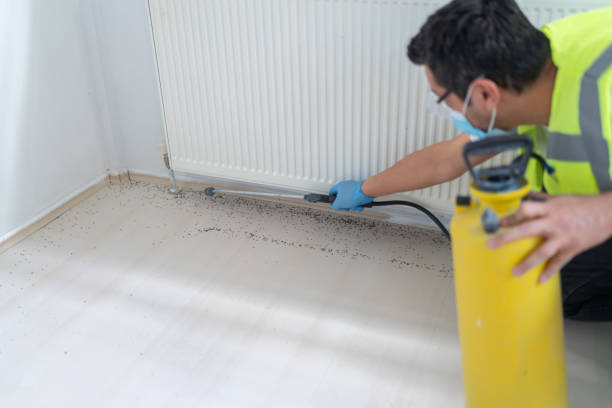 Pest Prevention Services in Locust Valley, NY