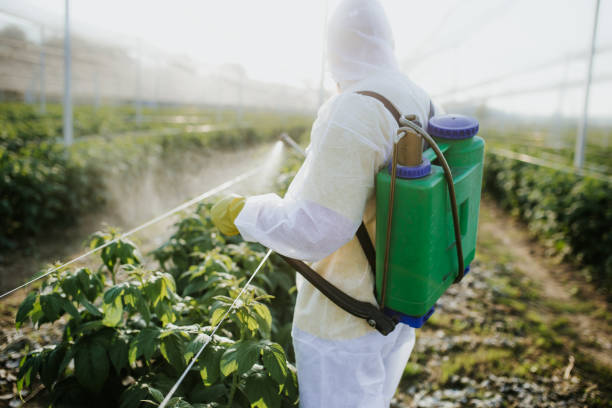 Best Cockroach Control Services  in Locust Valley, NY